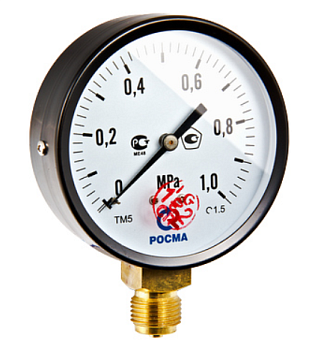 Манометр ТМ-510Р Ду 100 нижн.подкл.М20*1/5, 0-25 бар &